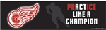 Bumper Sticker - Practice Like a Champion